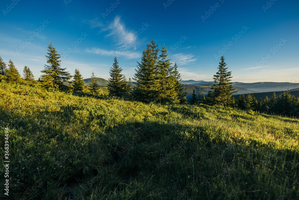 A large green field with trees in the background A large green field with trees in the background