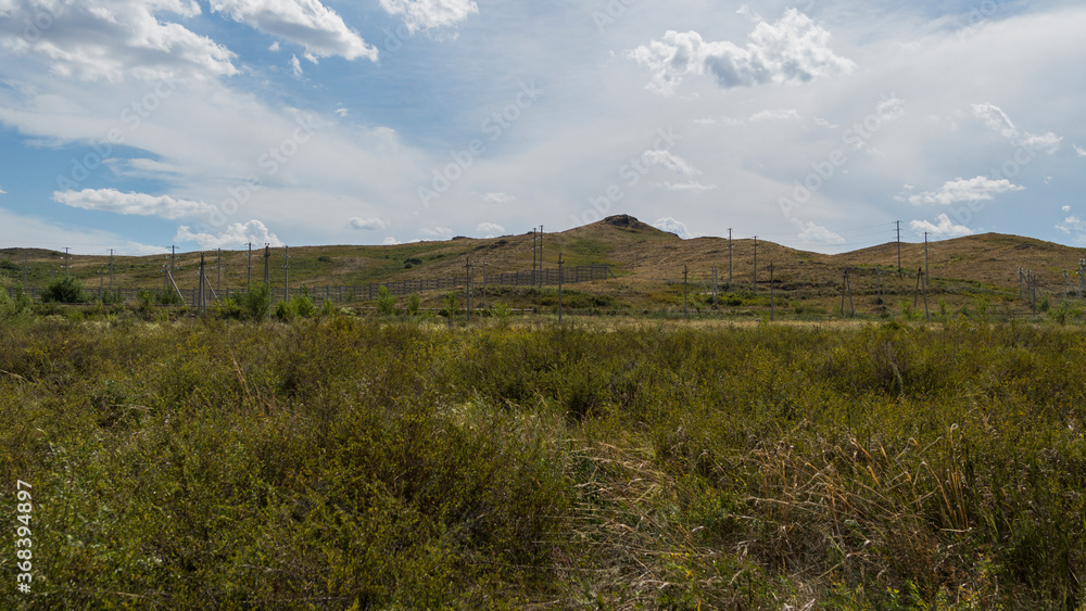 Summer steppe landscape. Landscape in kazakhstan. Kazakh steppe. Blue sky. Yellow grass. Panorama. Forest Steppe. Green trees. Hill. Power Line