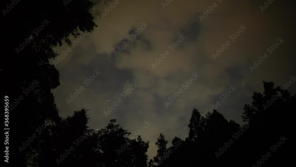 ホタルと星空 ホタルと星空