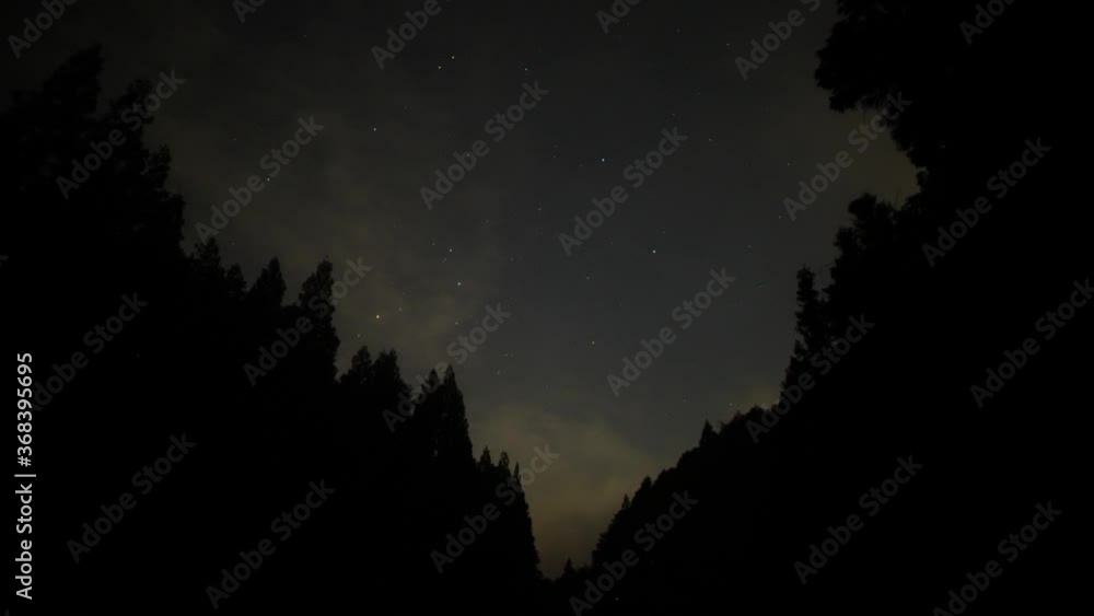 ホタルと星空 ホタルと星空