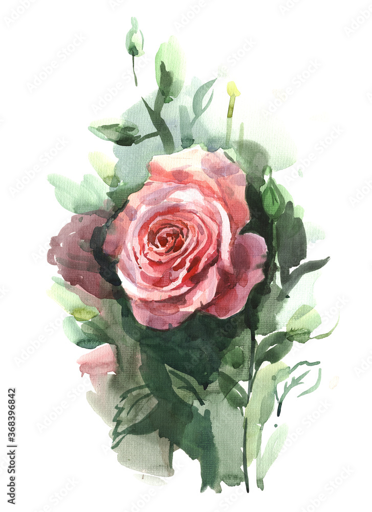 Rose. Watercolor illustration of a delicate pink rose with decorative twigs, bud and leaves. Botanical illustration.