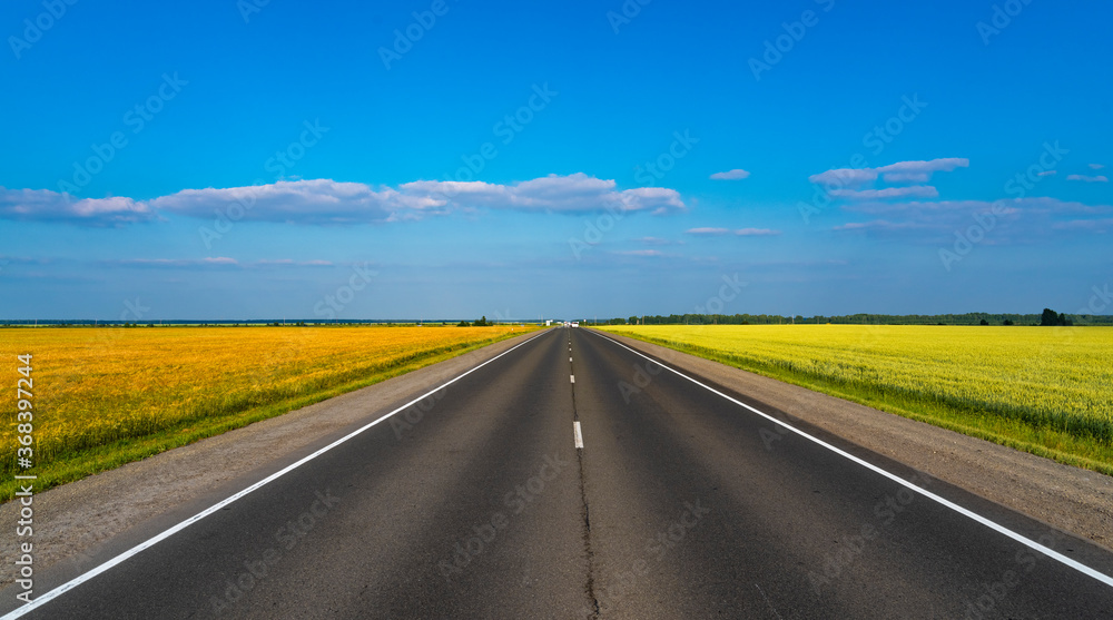 The road going into the distance divides the multi-colored fields. Background for the computer. The road going into the distance divides the multi-colored fields. Background for the computer.