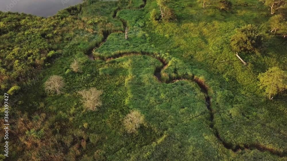 Creek Running Through Feild Into Pond Through Field With Trees And Bushes Cinematic Aerial 4K Creek Running Through Feild Into Pond Through Field With Trees And Bushes Cinematic Aerial 4K