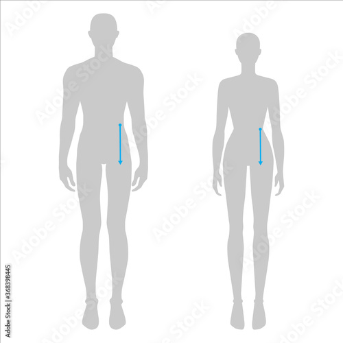 Women and men to do body rise measurement fashion Illustration for size chart. 7.5 head size girl and boy for site or online shop. Human body infographic template for clothes. 