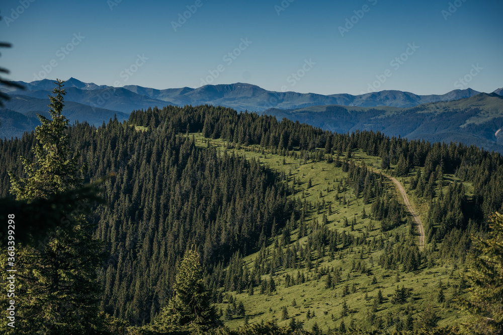 Obraz premium A tree with a mountain in the background