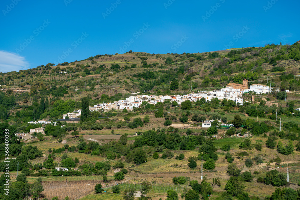 village on the side of the mountain surrounded by trees