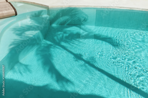 Palm Shadow On Water Surface. Swimming Pool With Silhouette Of Tropical Tree At Noon. 