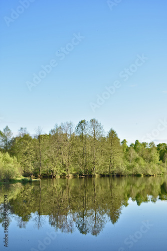 trees are reflected in a small lake
