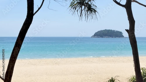 palm tree on the beach katabeach phuket thailand photo