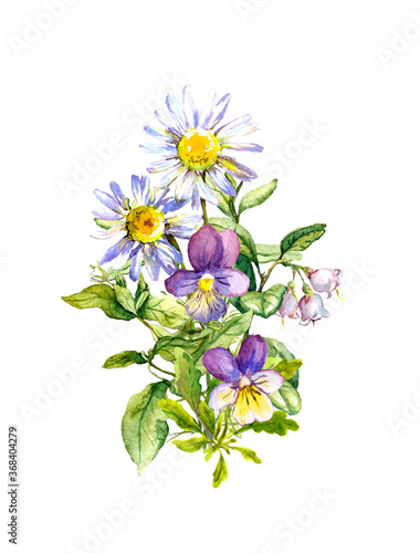 Summer bouquet of wild flowers - chamomile, pansy, meadow grass. Watercolor illustration © zzorik