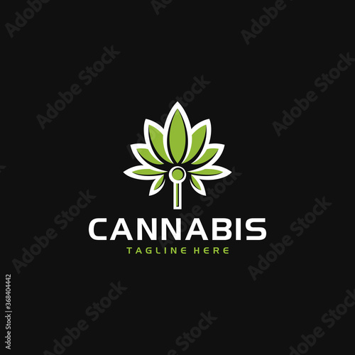 cannabis leaf logo design vector template