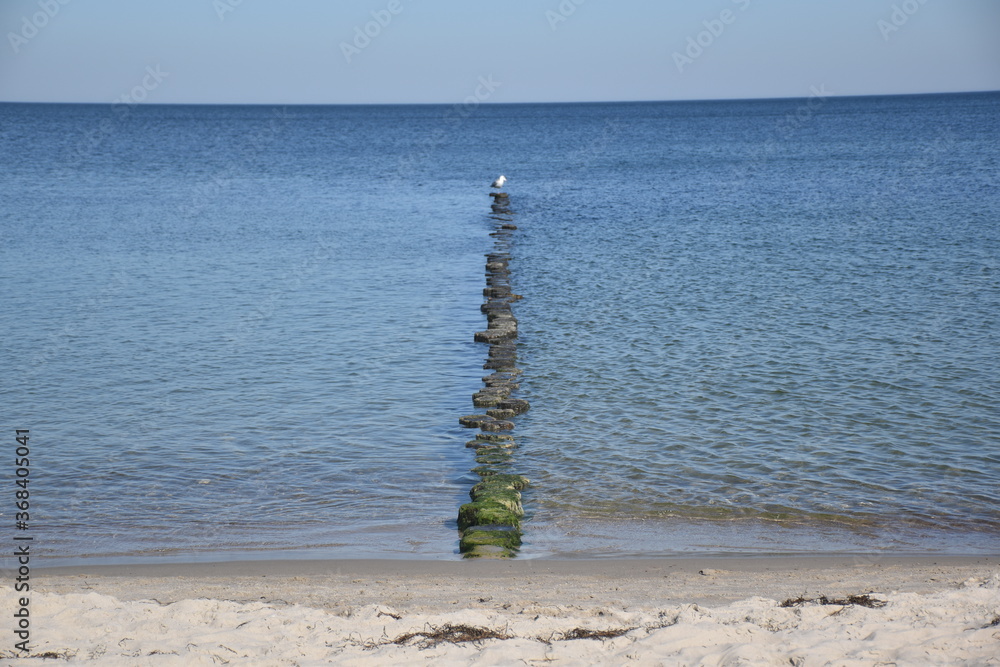 Rügen