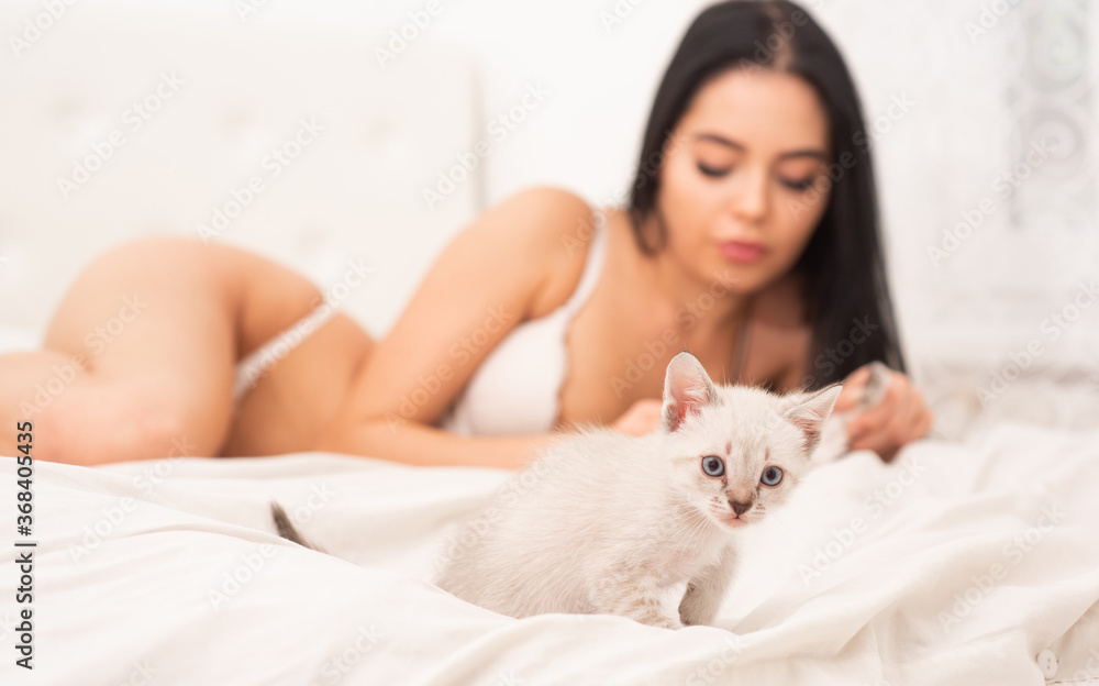 best friend in luxury house. Cat lover. female fashion lingerie. Purity in morning. little kitten on bed with sexy girl. selective focus. sensual and tender. sexual foreplay. intimate care spa best friend in luxury house. Cat lover. female fashion lingerie. Purity in morning. little kitten on bed with sexy girl. selective focus. sensual and tender. sexual foreplay. intimate care spa