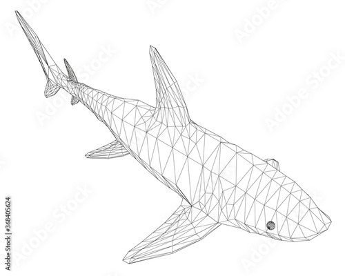 Wireframe low poly blue shark. 3D. Isometric view. Vector illustration
