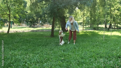 Blonde haired girl play with her cavalier king charles spaniel dog in the park, the dog is jump for the ball. Animal care concept

