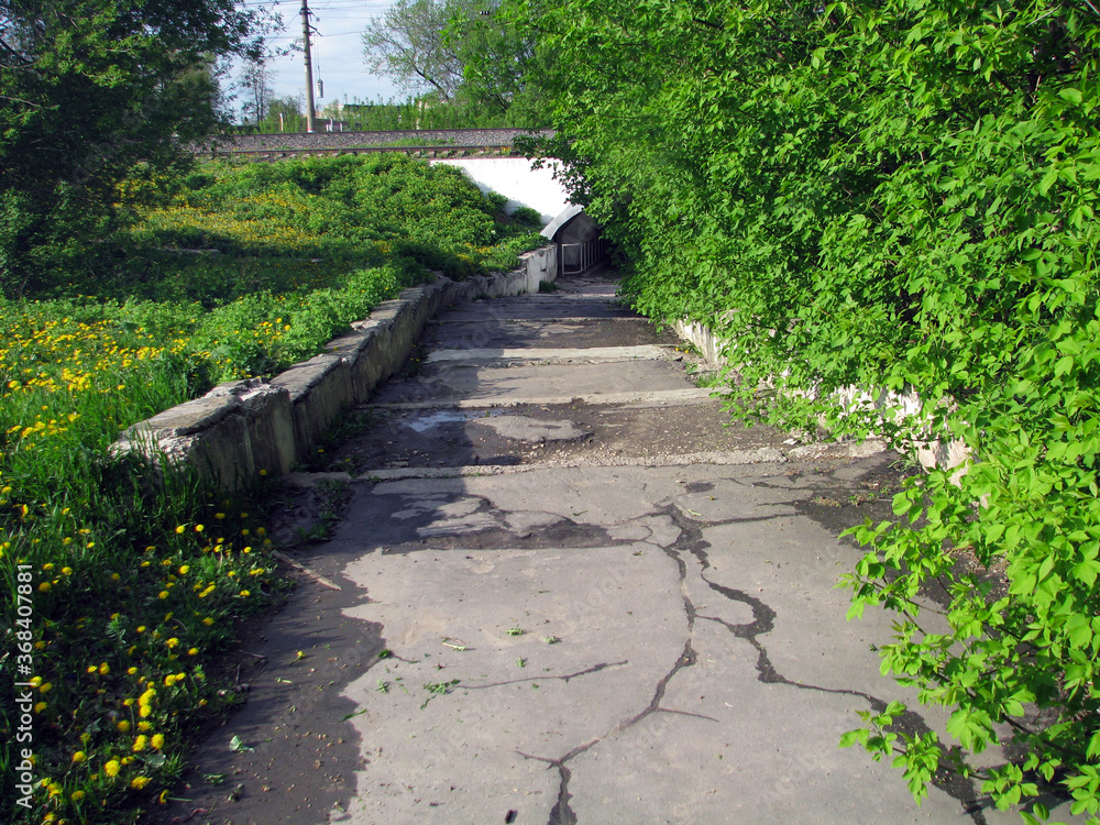 stone path in the park stone path in the park
