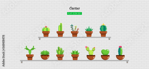 color flat icon symbol set, mini home gardening, greenhouse, little cactus, succulent,  Isolated vector design