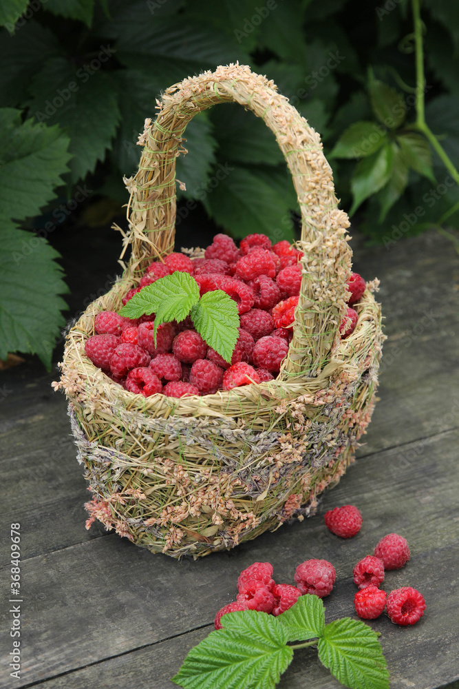 Berries. Fresh raspberries in a basket on an old grey wooden table with leaves. Rustic. Summer, garden, outdoor. Harvest. Background image, copy space Berries. Fresh raspberries in a basket on an old grey wooden table with leaves. Rustic. Summer, garden, outdoor. Harvest. Background image, copy space