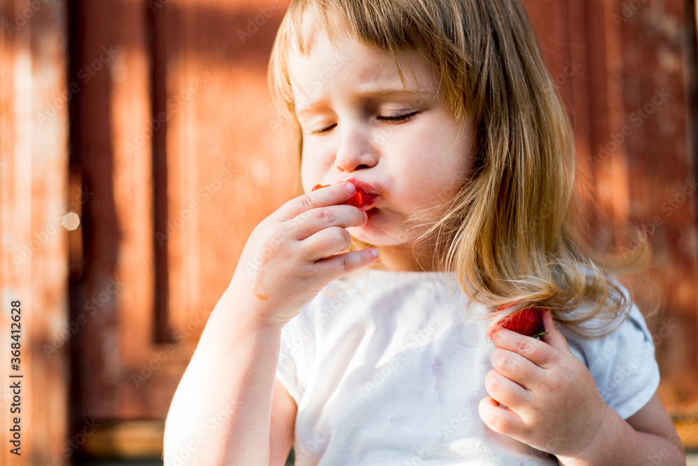 Child with food. Healthy eating.The girl eats strawberries in the summer in the village. holiday Child with food. Healthy eating.The girl eats strawberries in the summer in the village. holiday