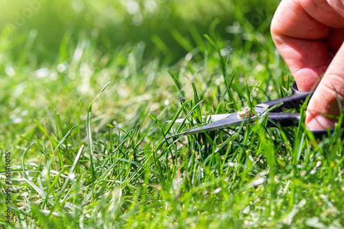 Close-up detail view of man hand cutting green grass on backyard garden with small nail scissors on bright summer sunny day. Accurate perfect lawn mowing care maintenance and service concept