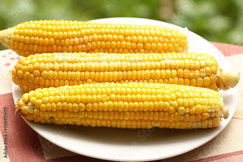 boiled ripe corn cob with salt close up photo on plate