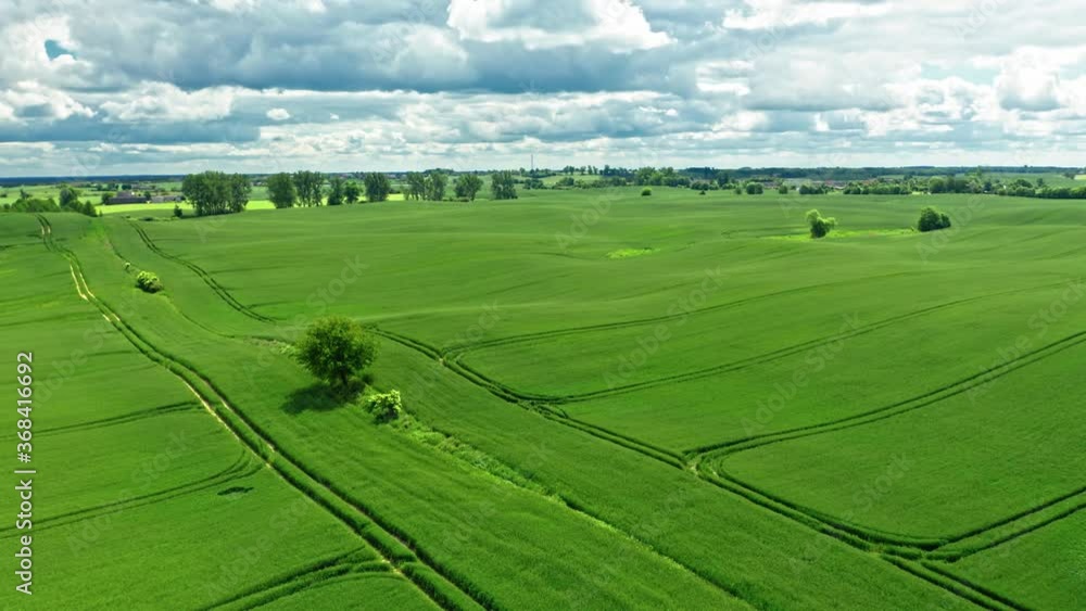 Big green field in sunny summer day, aerial view Big green field in sunny summer day, aerial view