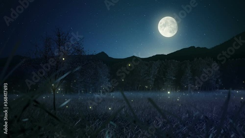 night landscape with moon photo