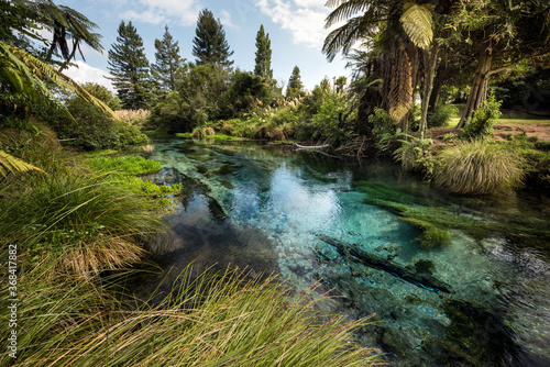 hamurana spring, new zealand