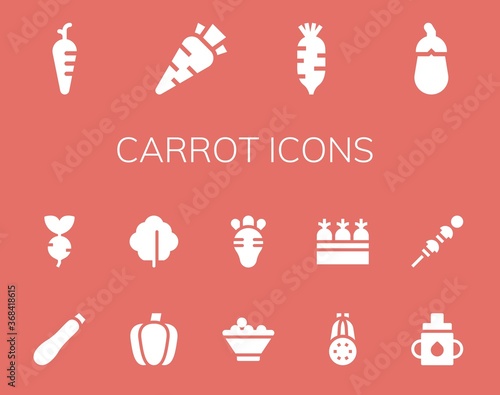carrot icon set