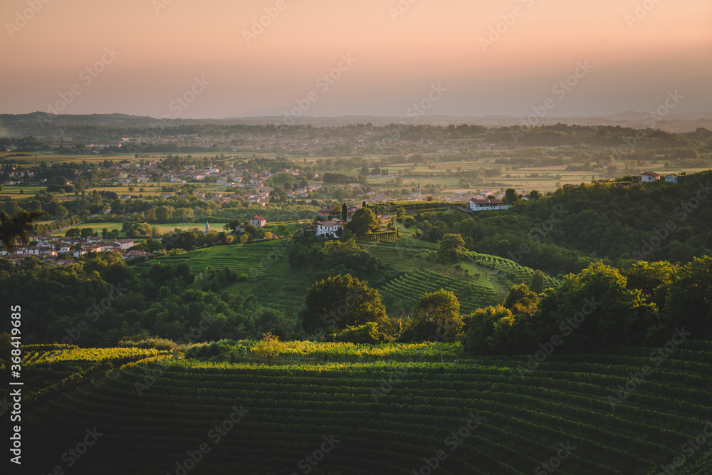 Friuli Venezia Giulia typical landscape, Udine province, Italian countryside from drone, aerial shot, vineyards hills 