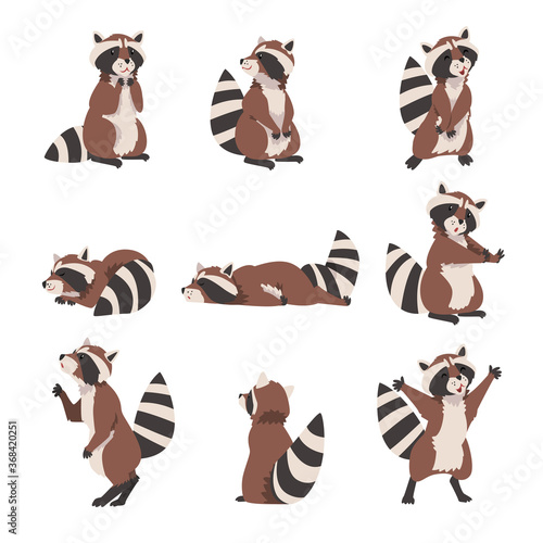 Cute Raccoon Collection, Adorable Wild Forest Animal Cartoon Character in Various Poses Vector Illustration