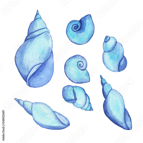 Billede på lærred Clip art of shell isolated on white background