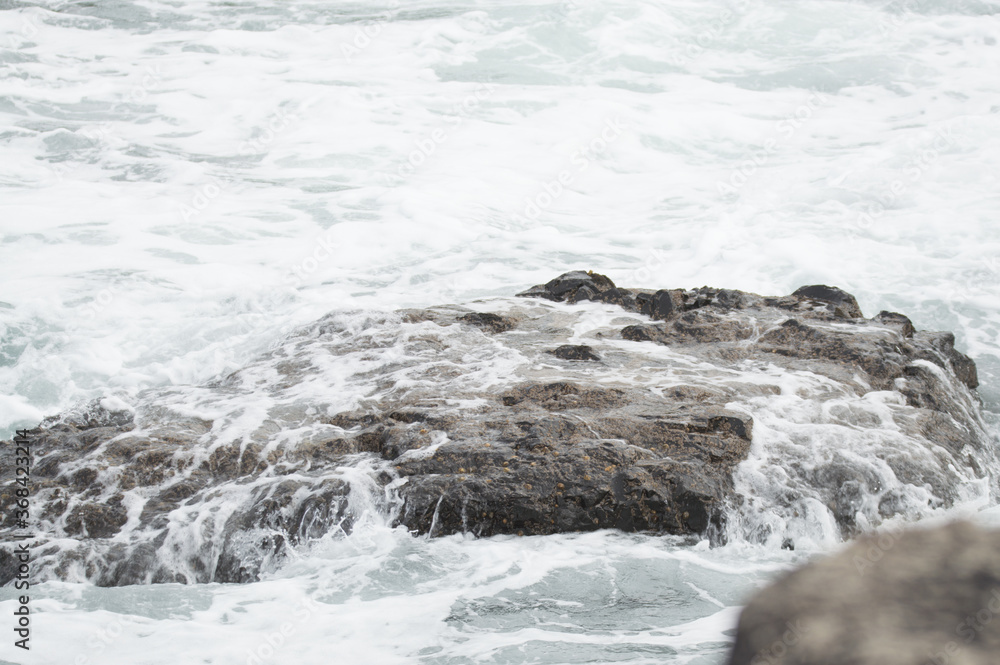 Fototapeta premium Waves crashing against rocks at the Giant's Causeway, Northern Ireland.