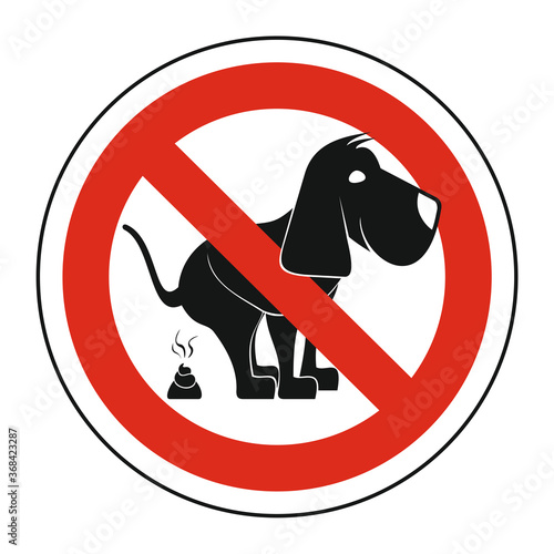 PERRO_6