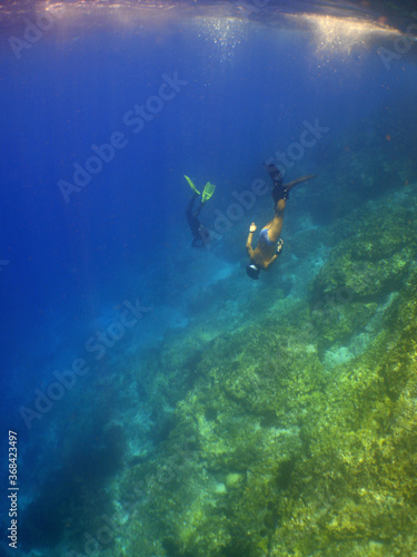 underwater coral reef snorkel  caribbean sea Venezuela © gustavo