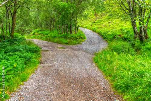 Two paths to choose from in the Scottish Highlands