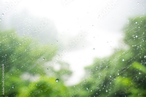 窓につく雨粒 © アオフジマキ