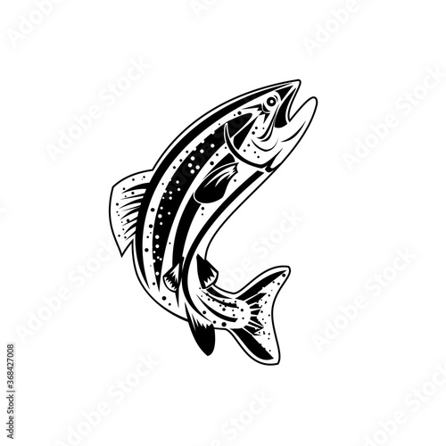 Columbia River Redband Trout,  Inland Redband Trout or Interior Redband Trout Retro Black and White