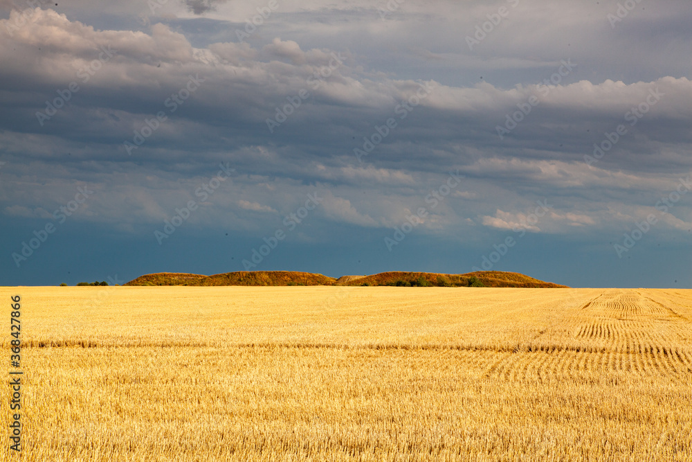 On the empty field after harvesting in sunny day before storm On the empty field after harvesting in sunny day before storm