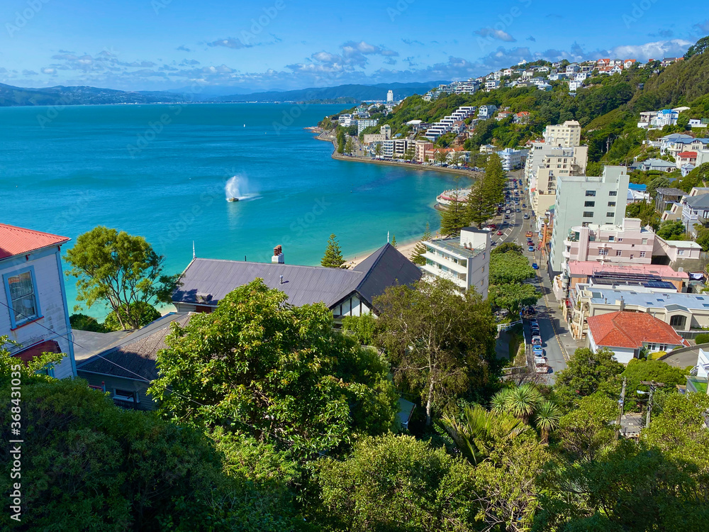 Vista of Wellington, New Zealand, from Mt Victoria