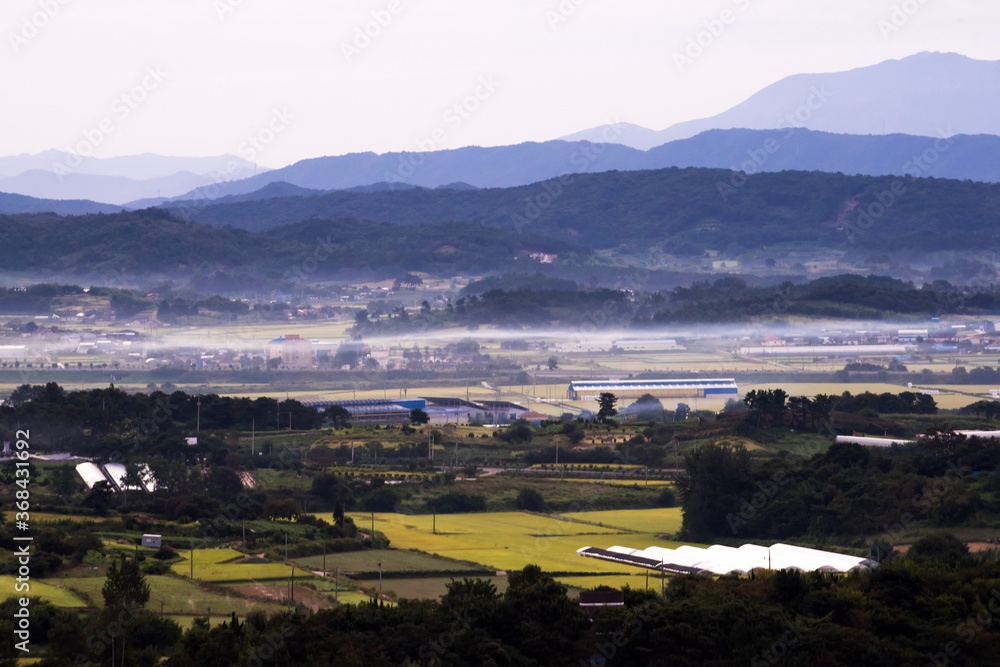 The beautiful misty landscape at the top of mountain.