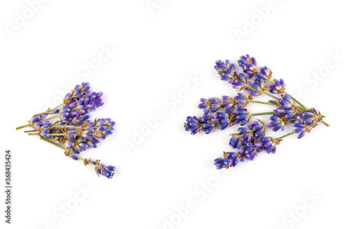 Fototapeta Naklejka Na Ścianę i Meble -  Lavender flowers isolated on white background. Close up. Space for text