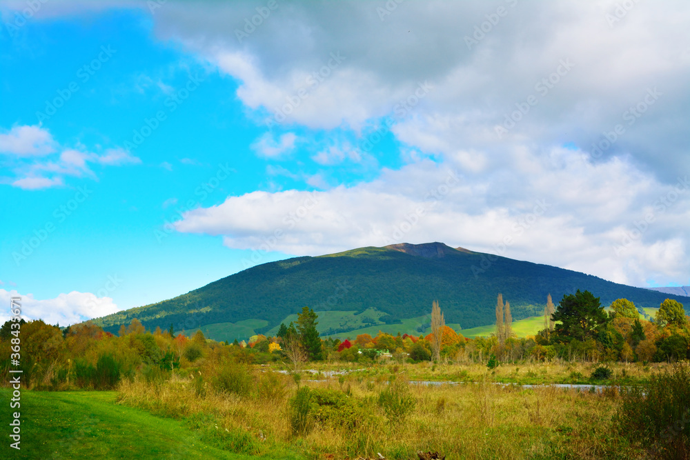 Bright orange and yellow autumn colours on the banks of Tongariro river. North Island, New Zealand