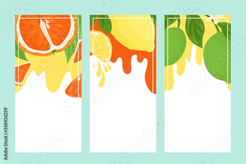 Citrus banner set vector Illustration. Poster with bright, tropical fruits. O...