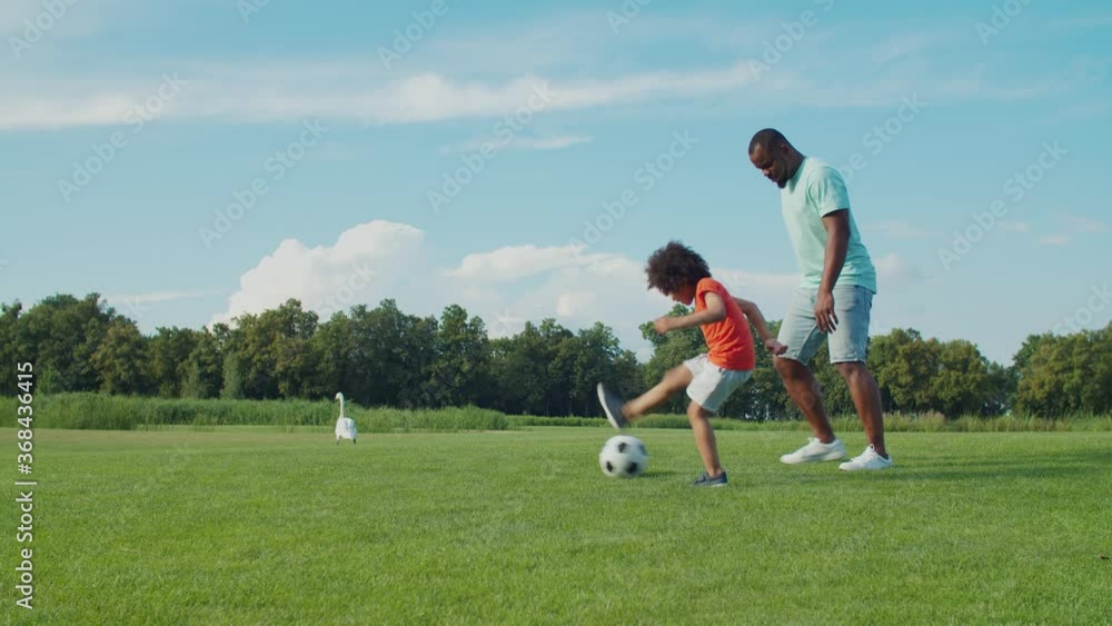 Carefree cheerful adorable little child with curly hair and joyful african father having fun, playing football game on park lawn while enjoying leisure, practicing soccer during summer vacations. Carefree cheerful adorable little child with curly hair and joyful african father having fun, playing football game on park lawn while enjoying leisure, practicing soccer during summer vacations.