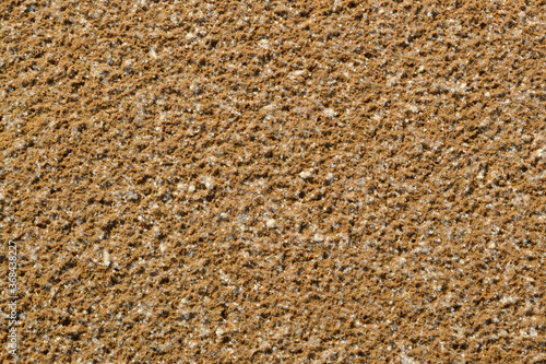 Natural background with the texture of wet sand, evenly strewn with white plant fluff.