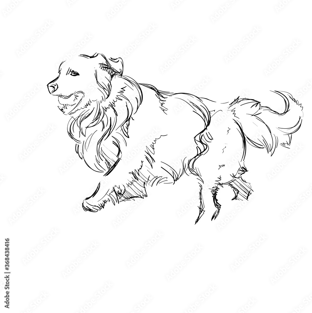 The Portrait of a Cute Shaggy Dog on  White Background. Vector Illustration of a Beautiful Sketched Labrador-Retriever. Freehand Monochrome Drawing. Linear Sketch. Realistic Style. Animal Art for Kids