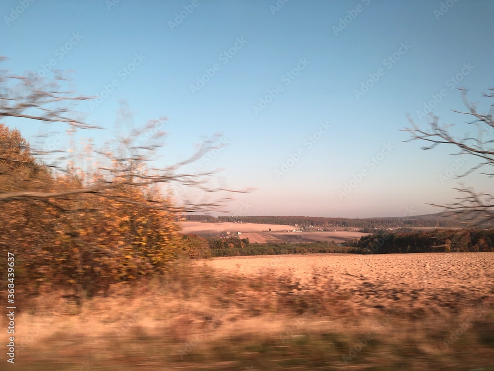 autumn landscape with tree autumn landscape with tree