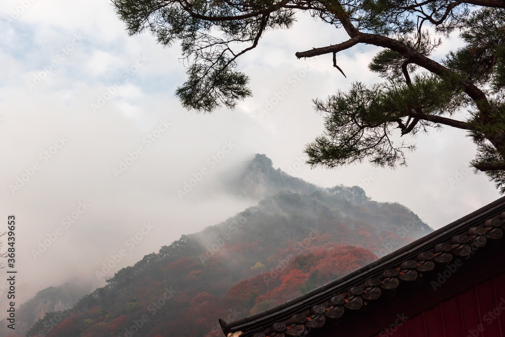 Fototapeta premium Majestic colorful autumn mountain with sea of clouds.