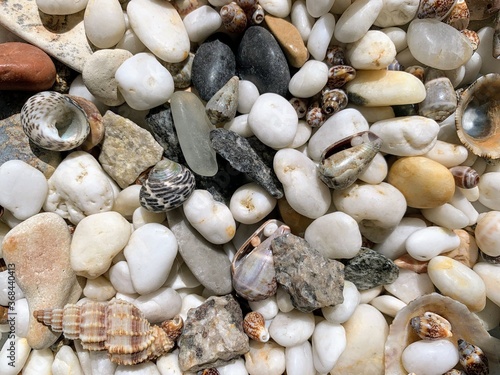 Beautiful sea pebbles